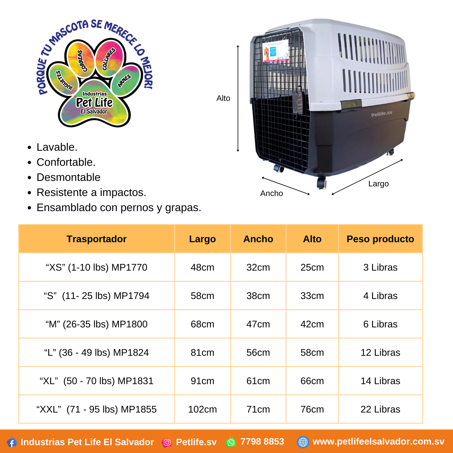 El texto del párrafo (4)