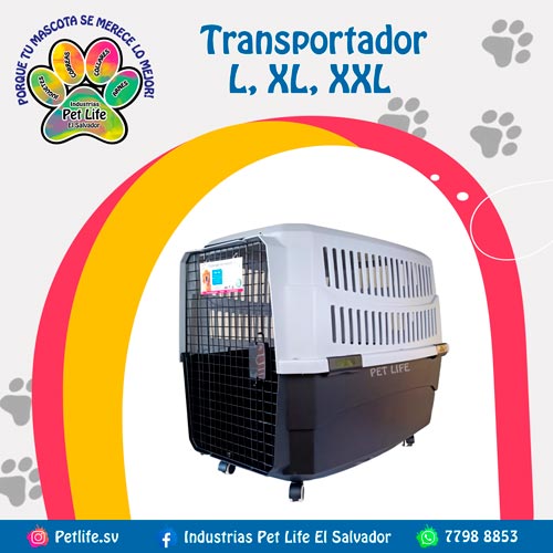 Trasportador-con-ruedas